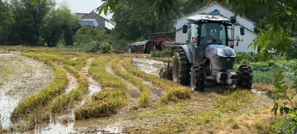 以澎湃動力為生產深度賦能，東風井關EN1204拖拉機作業視頻